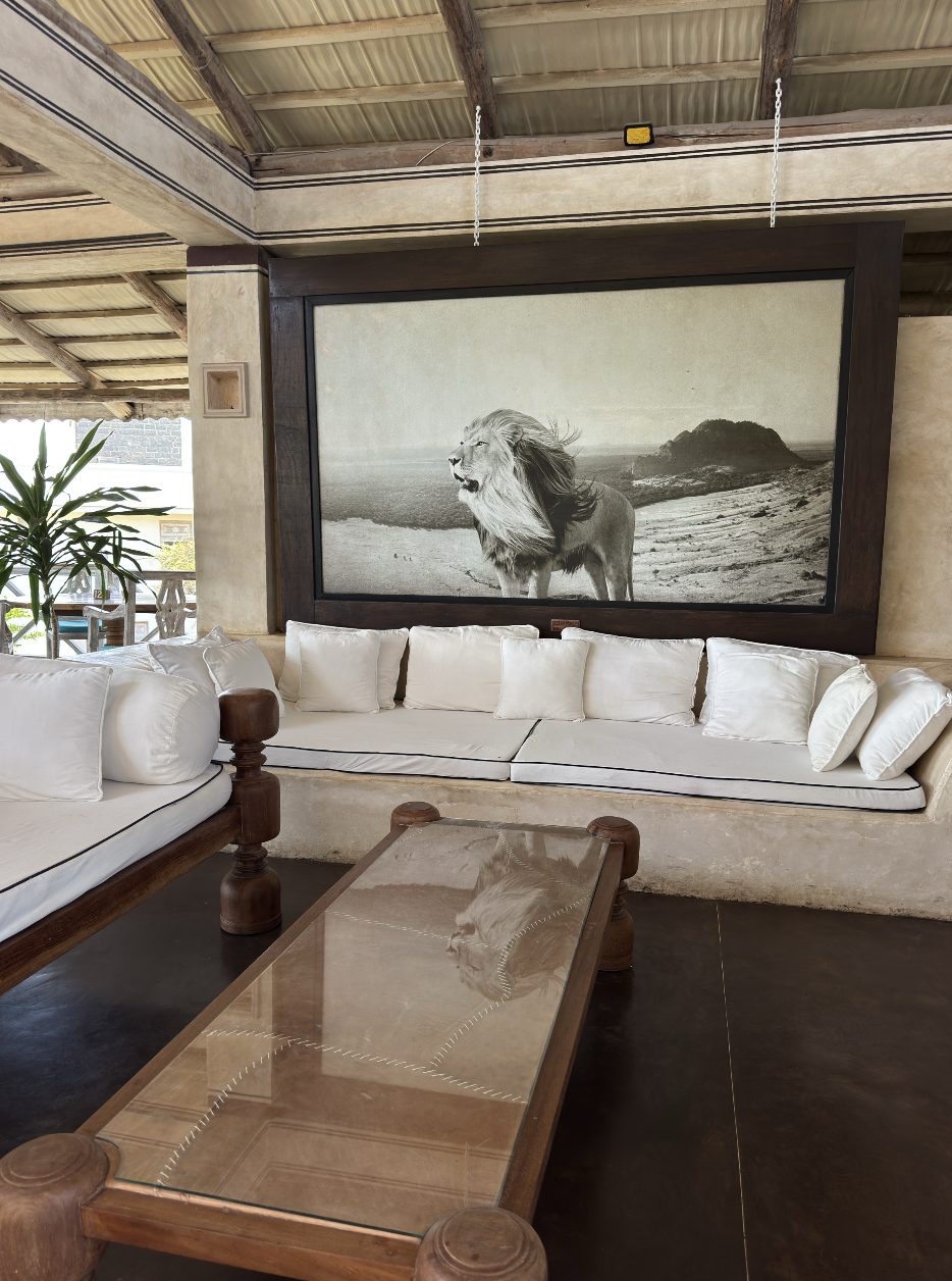 Large lion print above a white lounge sofa